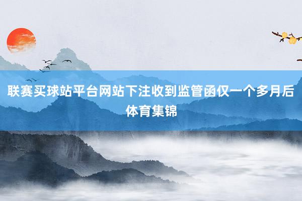 联赛买球站平台网站下注收到监管函仅一个多月后体育集锦