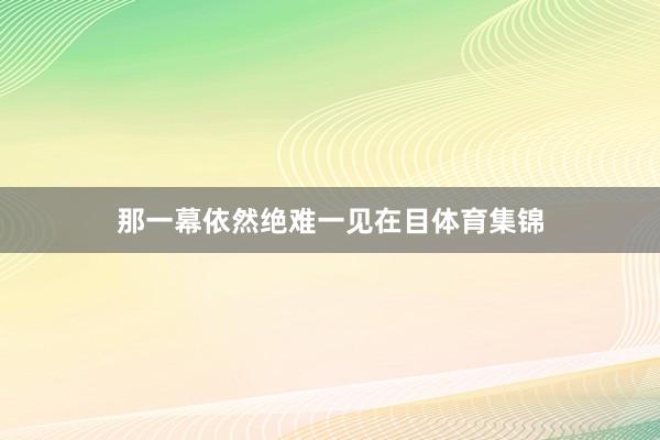 那一幕依然绝难一见在目体育集锦