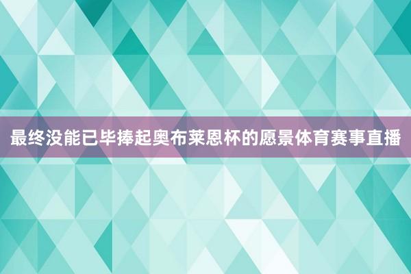 最终没能已毕捧起奥布莱恩杯的愿景体育赛事直播