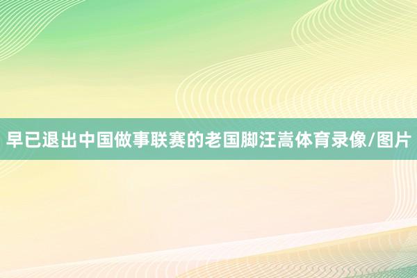 早已退出中国做事联赛的老国脚汪嵩体育录像/图片