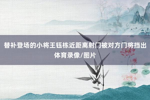 替补登场的小将王钰栋近距离射门被对方门将挡出体育录像/图片