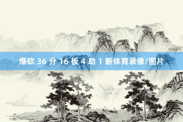 爆砍 36 分 16 板 4 助 1 断体育录像/图片